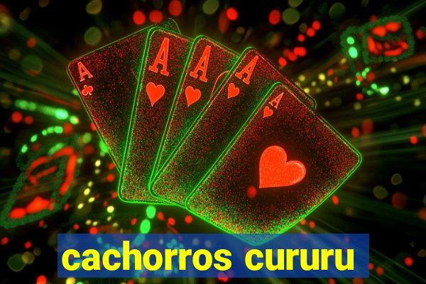 cachorros cururu